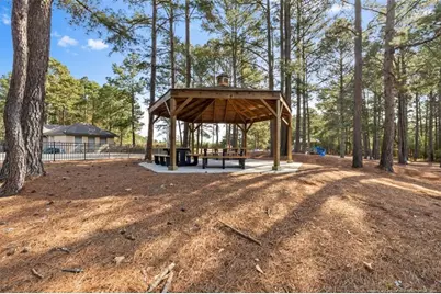 118 Otter Drive, West End, NC 27326 - Photo 24