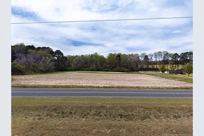 Tbd Rosser Pittman Road, Sanford, NC 27332 - Photo 2