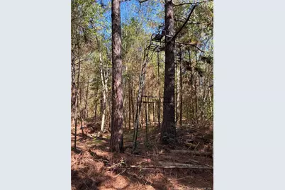 Clark Road, Maxton, NC 28364 - Photo 2