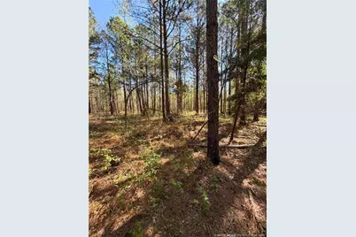 Clark Road, Maxton, NC 28364 - Photo 14