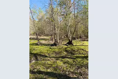 Clark Road, Maxton, NC 28364 - Photo 10