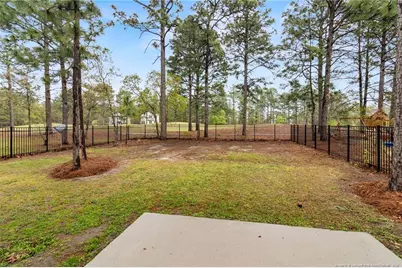 712 Bald Eagle Drive, Vass, NC 28394 - Photo 46