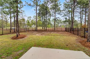 712 Bald Eagle Dr, Vass, NC 28394 - Photo 46