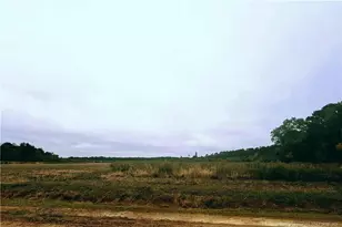 0 Triple B Ln, Autryville, NC 28318 - Photo 1