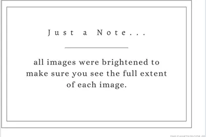 505 Pine Street, Pembroke, NC 28372 - Photo 16