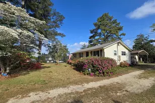 219 E Clinton Rd, Autryville, NC 28318 - Photo 30