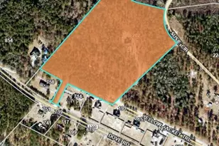 202 Yellow Jacket Trl, Cameron, NC 28326 - Photo 46
