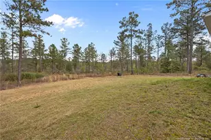 202 Yellow Jacket Trl, Cameron, NC 28326 - Photo 38