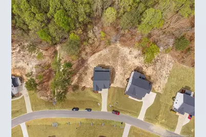 248 Duncan Creek Road, Lillington, NC 27546 - Photo 2