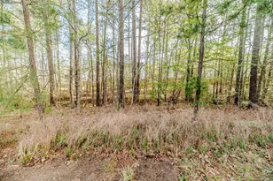 104 Foothill Ct, Sanford, NC 27330 - Photo 50