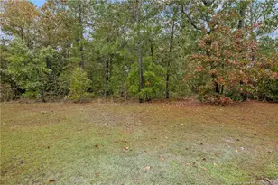 159 English Oak Dr, Bunnlevel, NC 28323 - Photo 48