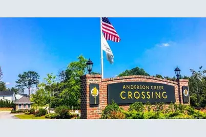 60 Wildlife Bridge Court, Spring Lake, NC 28390 - Photo 24