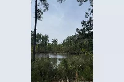 60 Wildlife Bridge Court, Spring Lake, NC 28390 - Photo 28