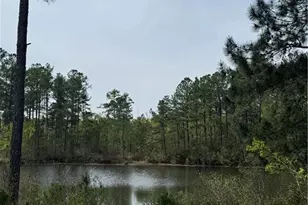 60 Wildlife Bridge Ct, Spring Lake, NC 28390 - Photo 28