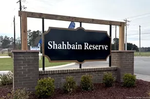 411 Hartfield Ave, Raeford, NC 28376 - Photo 36