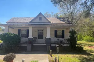 313 W Branch St, Spring Hope, NC 27882 - Photo 1