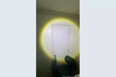 313 W Branch Street, Spring Hope, NC 27882 - Photo 42