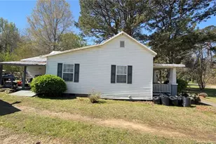 313 W Branch St, Spring Hope, NC 27882 - Photo 6