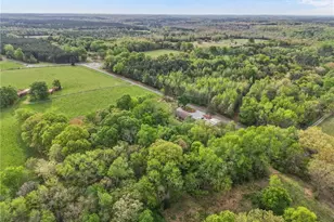 186 Lewis Brown Rd, Bennett, NC 27208 - Photo 42