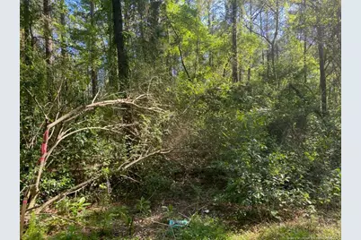 Tbd, Fayetteville, NC 28303 - Photo 8