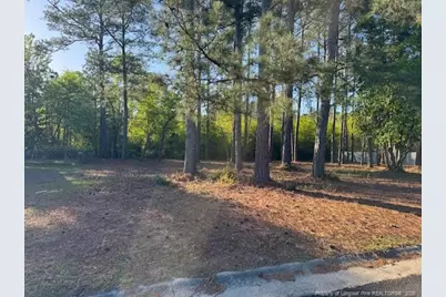 213 Waddell Drive, Fayetteville, NC 28301 - Photo 2