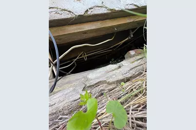 230 Meadow Road, Lumberton, NC 28358 - Photo 40