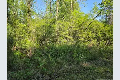 0 Leitha Lane, Godwin, NC 28344 - Photo 26