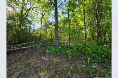 0 Leitha Lane, Godwin, NC 28344 - Photo 18