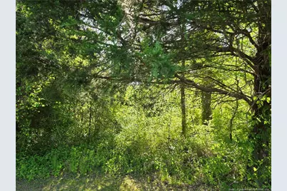 0 Leitha Lane, Godwin, NC 28344 - Photo 22