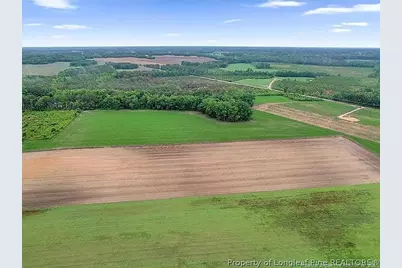 Lot 8 Buie Philadelphus Road, Red Springs, NC 28377 - Photo 4
