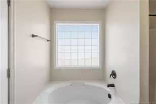 231 Feathers Lane, Raeford, NC 28376 - Photo 38
