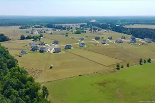 339 Rocking Horse Ln, Raeford, NC 28376 - Photo 46