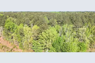 15688 Nc 27 Highway W, Sanford, NC 27332 - Photo 16