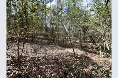 15688 Nc 27 Highway W, Sanford, NC 27332 - Photo 10