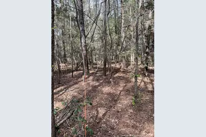 15688 Nc 27 Highway W, Sanford, NC 27332 - Photo 12