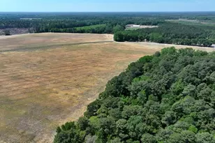 Tbd N Duffie Rd, Red Springs, NC 28377 - Photo 4