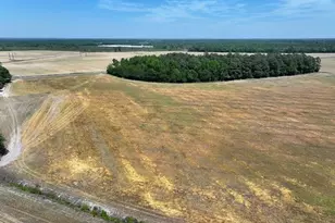 Tbd N Duffie Rd, Red Springs, NC 28377 - Photo 12