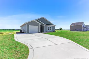 2203 Nahunta Rd, Pikeville, NC 27863 - Photo 2