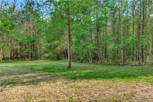 1234 Shaw Rd, Saint Pauls, NC 28384 - Photo 30
