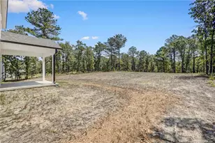 234 Travelers Wy, Lillington, NC 27546 - Photo 20