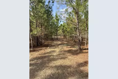 Tbd (9 Acres) Nc 27 W, Lillington, NC 27546 - Photo 22
