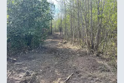 Tbd (9 Acres) Nc 27 W, Lillington, NC 27546 - Photo 24