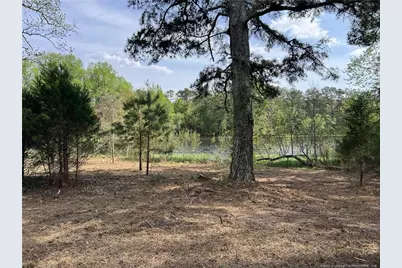 Tbd (9 Acres) Nc 27 W, Lillington, NC 27546 - Photo 16