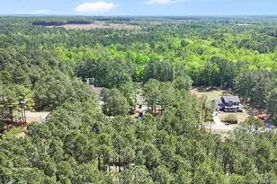 408 Senter Ln, Bunnlevel, NC 28323 - Photo 28