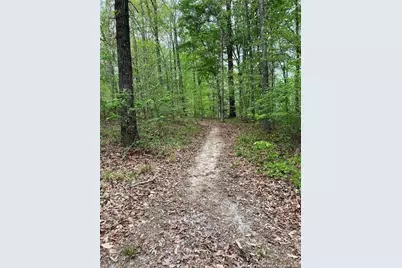 8321 Whitewood Court, Linden, NC 28356 - Photo 10