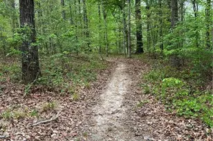 8321 Whitewood Ct, Linden, NC 28356 - Photo 10