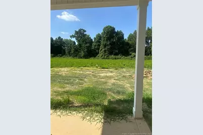 161 Margot Manor Drive, Benson, NC 27504 - Photo 6