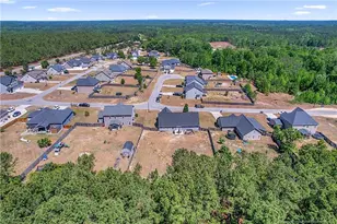 110 Stock Market Dr, Broadway, NC 27505 - Photo 40