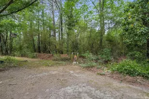 4119 Minnie Hall Rd, Autryville, NC 28318 - Photo 48