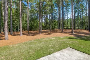 11 Rolling Pines Dr, Spring Lake, NC 28390 - Photo 40